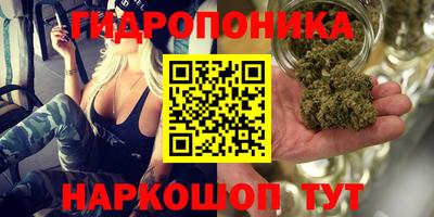 каннабис Берёзовский