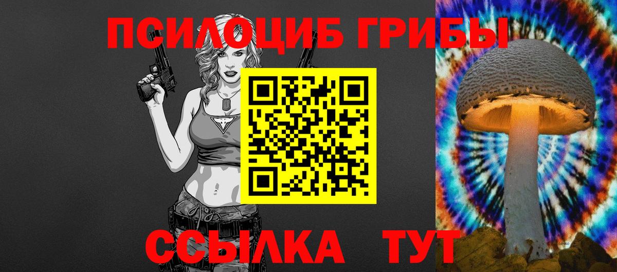 Псилоцибиновые грибы MAGIC MUSHROOMS Верхняя Пышма