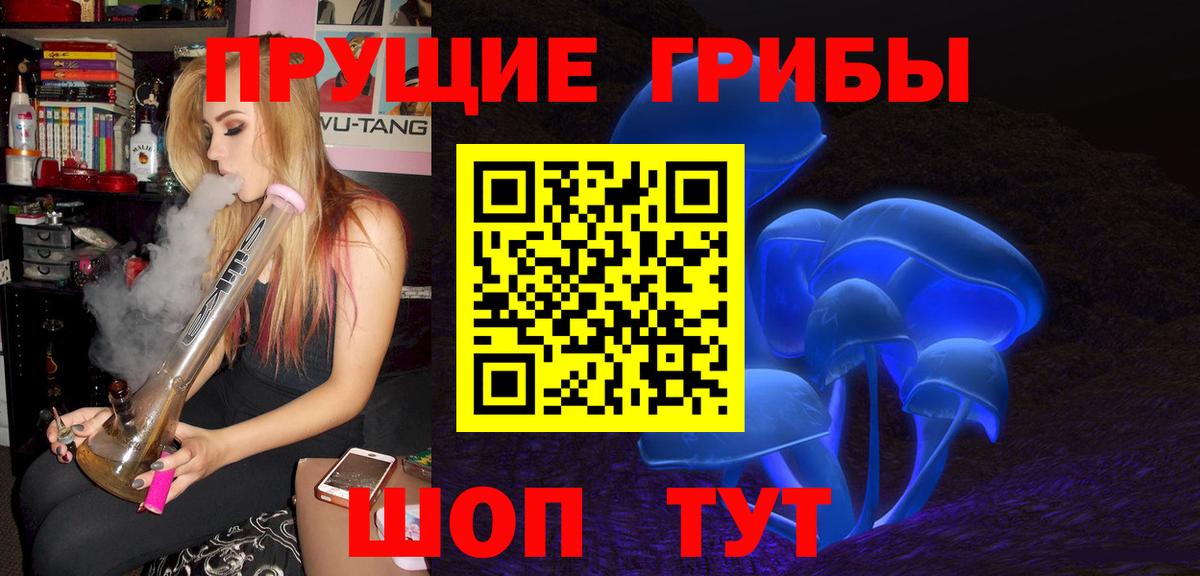 Псилоцибиновые грибы MAGIC MUSHROOMS  Вход с VPN  Галлюциногенные грибы Cubensis  Верхняя Пышма 