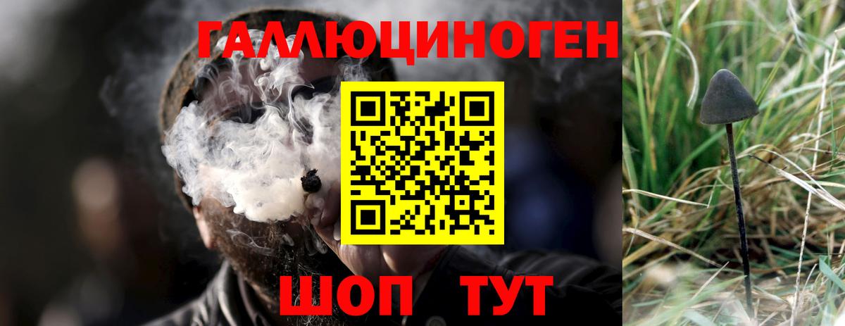 Псилоцибиновые грибы мицелий  Верхняя Пышма 